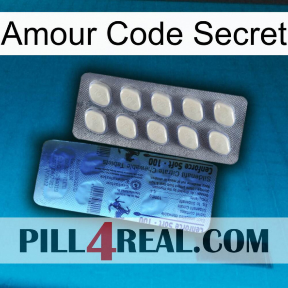 Love Secret Code 34